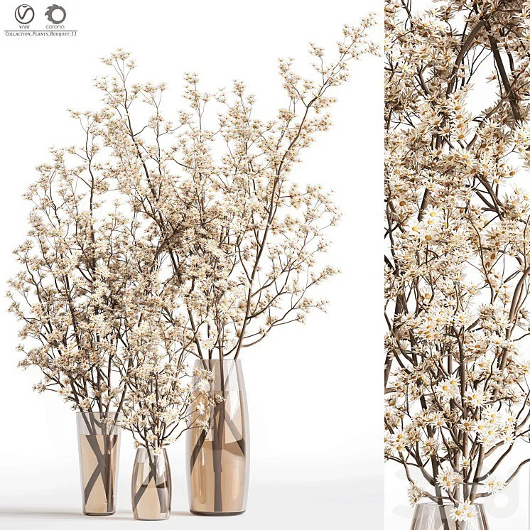 Collection Plants Bouquet 11